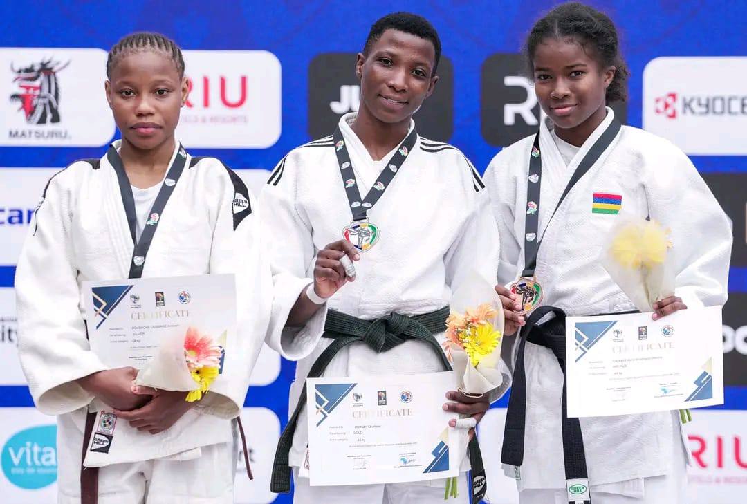 Harum aute quasi qui